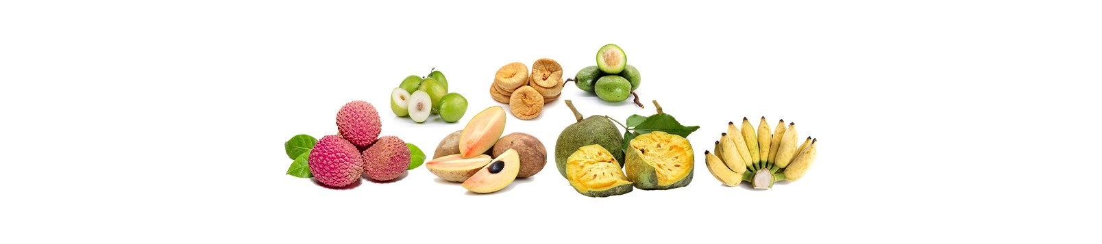 Fruits
