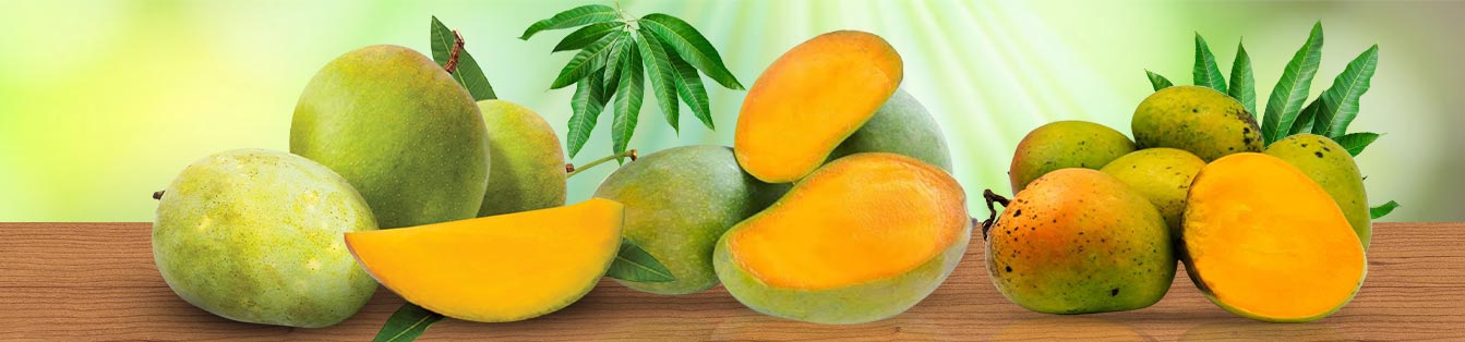 Mango 