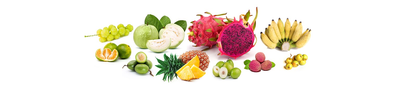 Fruits (Hill)