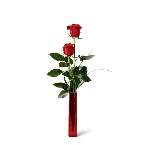 2 Pcs Red Roses in Vase-image-0