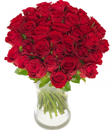 48 Pcs Red Roses in Vase-image-0