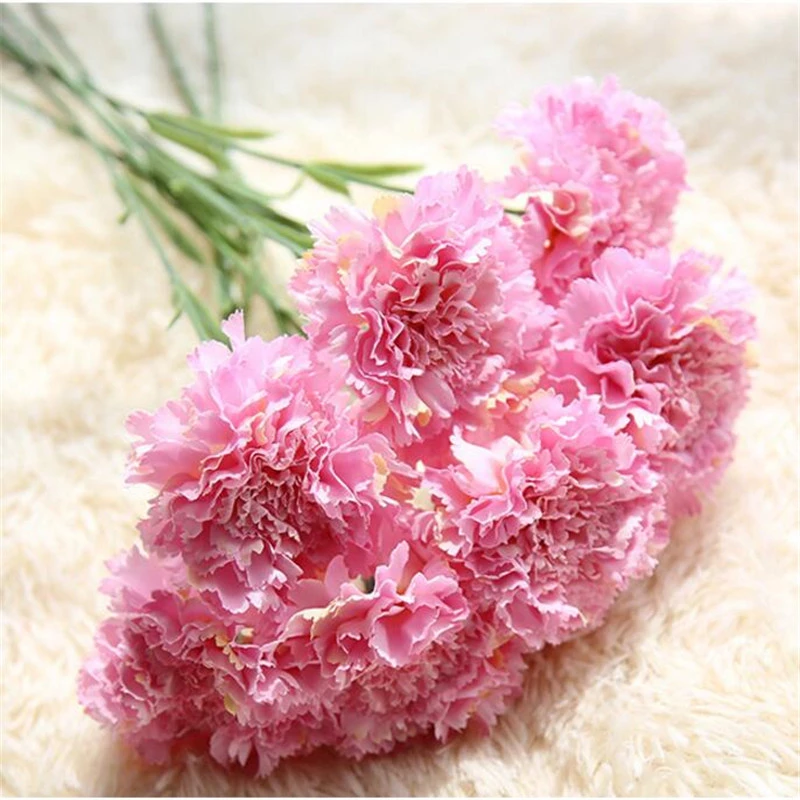 20 Pcs Pink Carnations In Bouquet-image-0