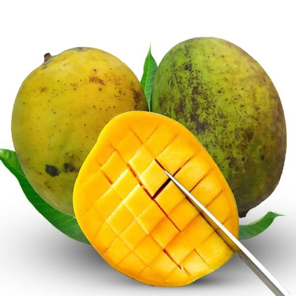 Lengra Mango (ল্যাংড়া আম)- Rajshahi 2.2gm-image-0