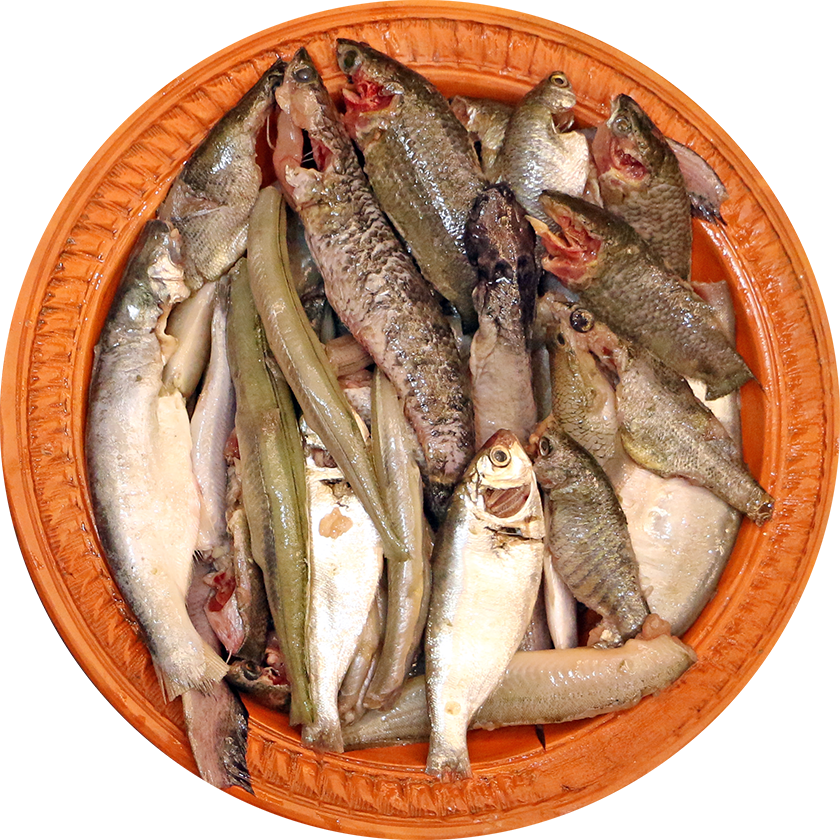 Pach Mishali Fish (regular)-image-0