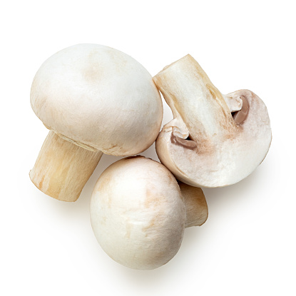 Mushroom-Pahari-image-0