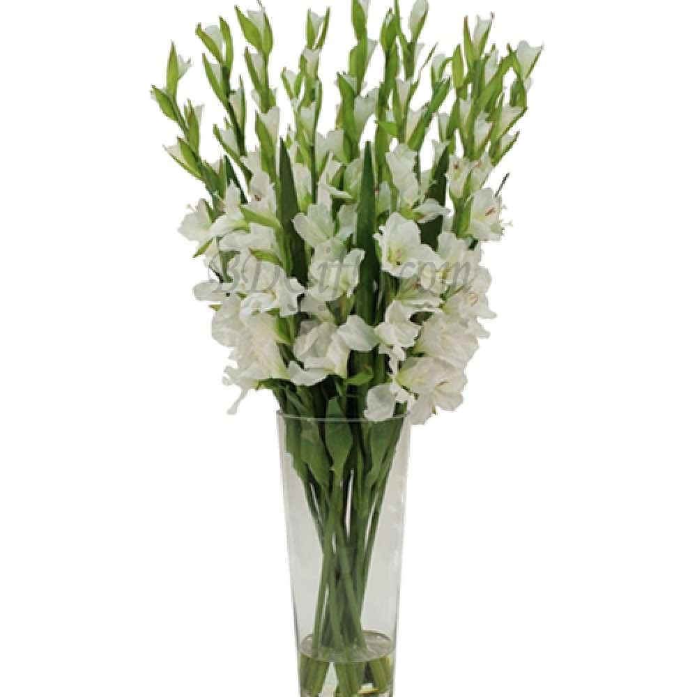 16 Pcs White Gladiolus In Vase-image-0