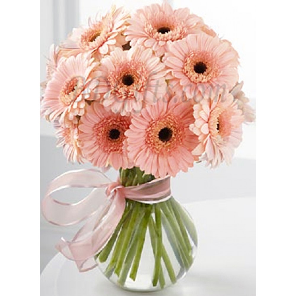 15 Pcs Pink Gerberas In Vase-image-0