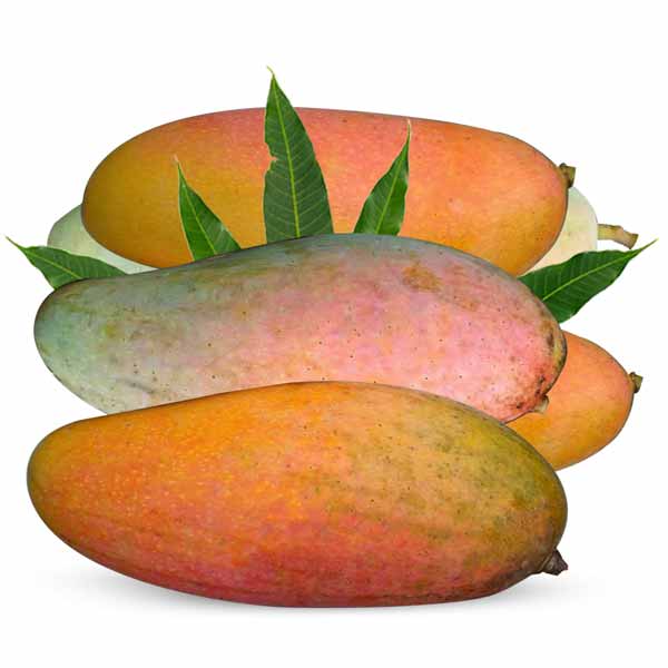Banana Mango-image-0