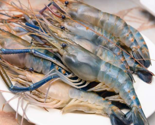 Chingri-Fish-Medium size-image-0