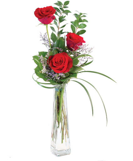 3 Pcs Red Roses in Vase-image-0