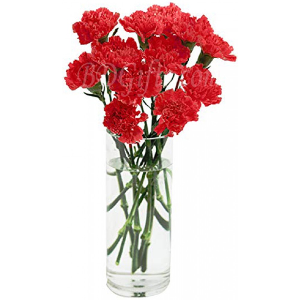12 Pcs Red Carnations In Vase-image-0