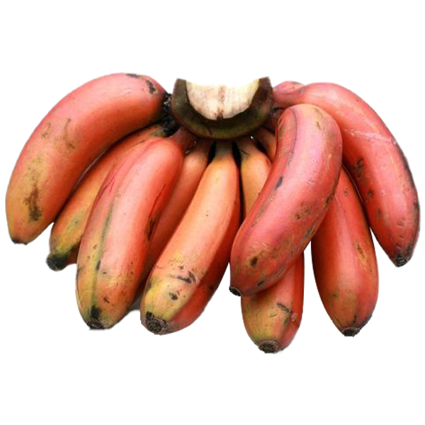 Banana-kola-image-0