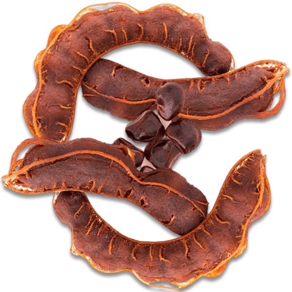 Tamarind-Tetul (Khosa chara)-image-0