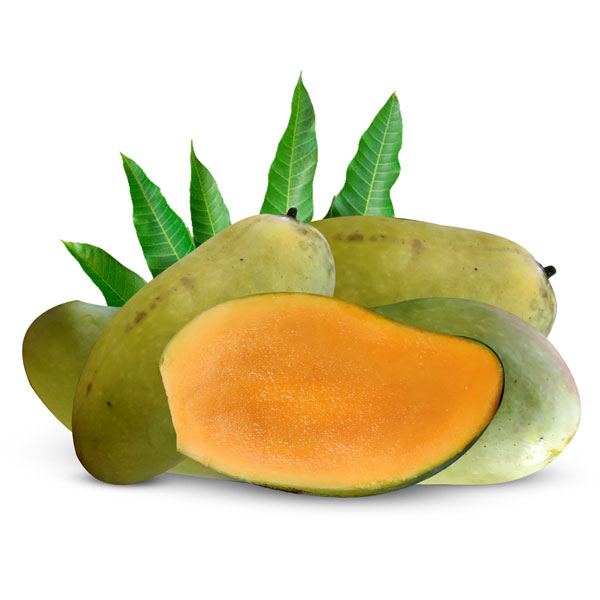 Fazli Mango(ফজলি আম)-Rajshahi-image-0