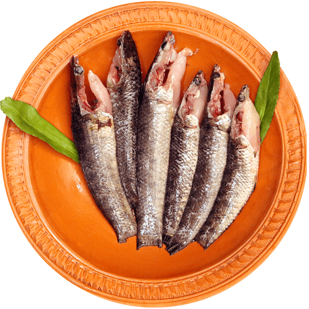 Taki Fish-image-0