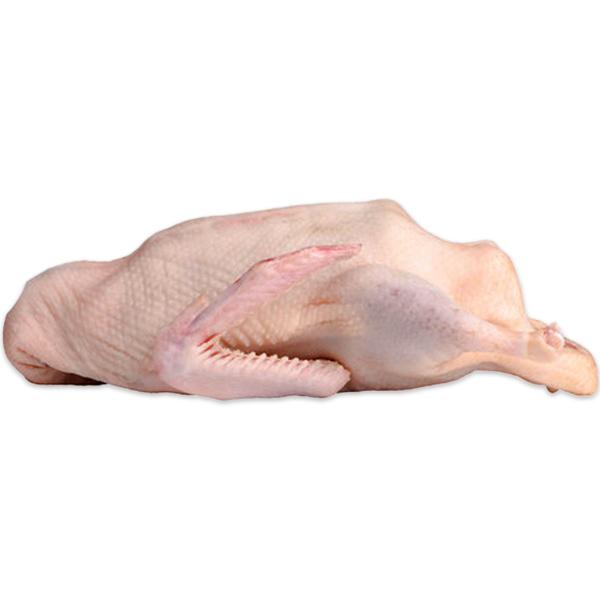 Duck-Pati-Has-Meat1500-1600gm Live-image-0