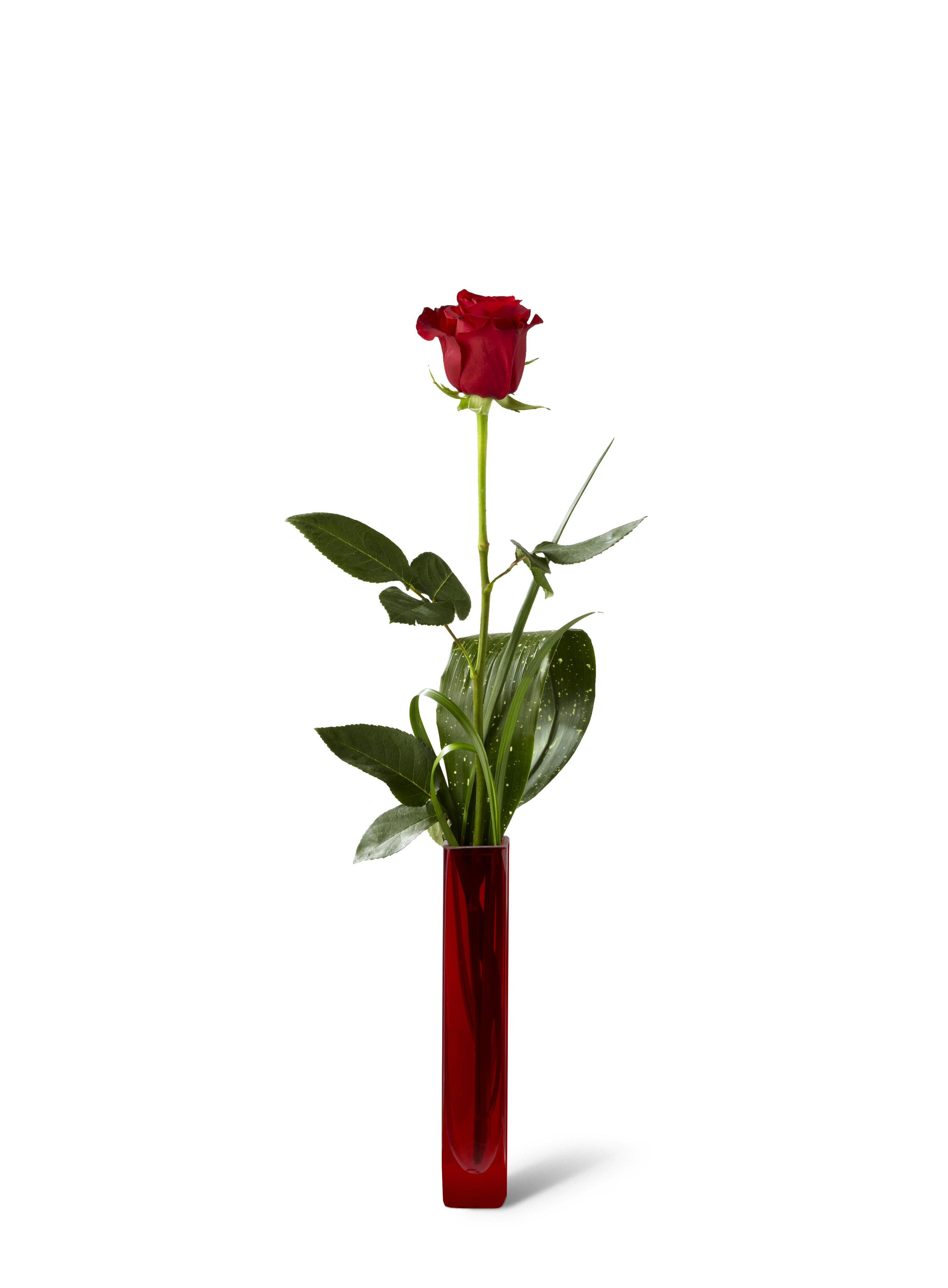 1 Pc Red Rose in Vase-image-0