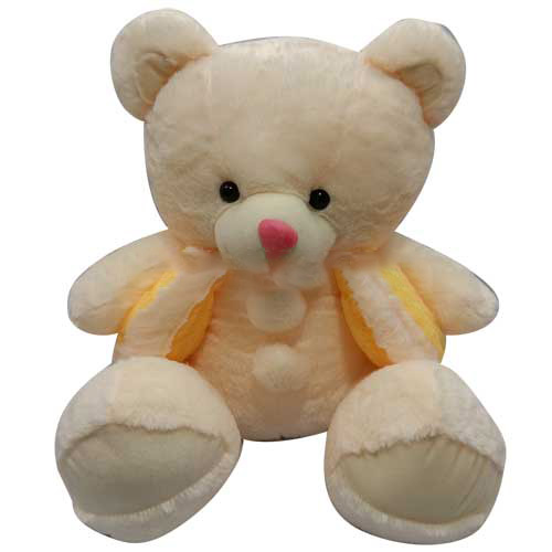 Cream teddy wearing koti-image-0