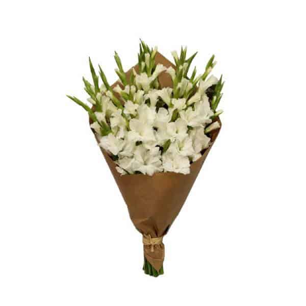 10 Pcs White Gladiolus In Bouquet-image-0