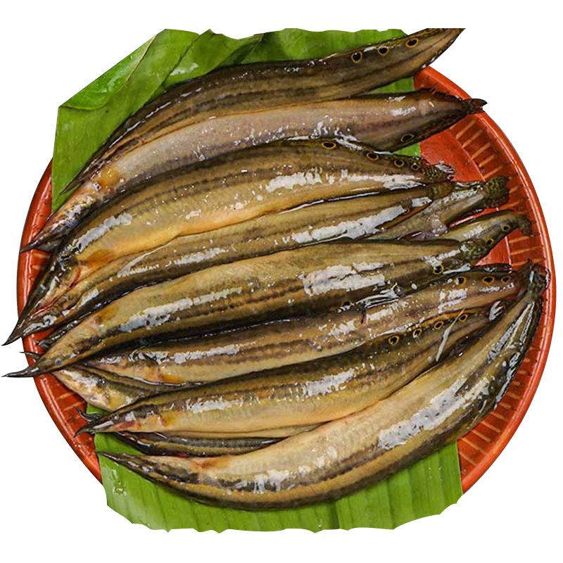 Baim Fish-image-0