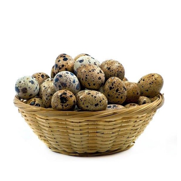 Quail - Koyel Eggs --image-0