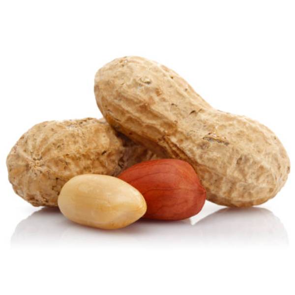 China Badam-Khosa Soho ( Hill Tracks)-image-0