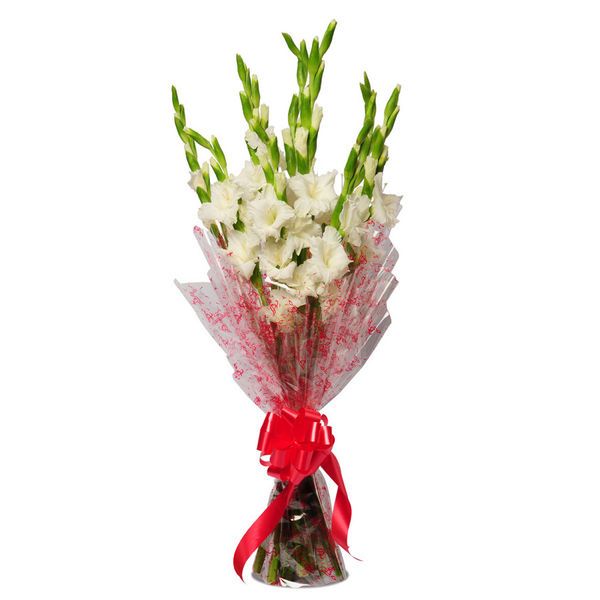 1 Dozen White Gladiolus In Bouquet-image-0