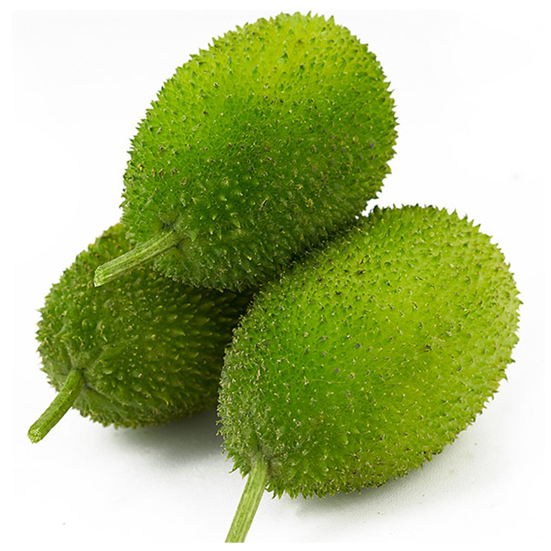 Kakrol-Sweet Bitter Gourd- Zum Chas-image-0