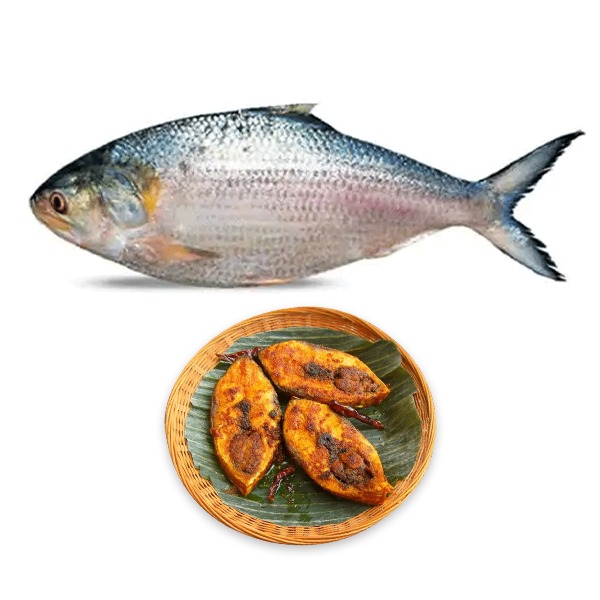 Jatka-Ilish- Fish - 700gm-image-0