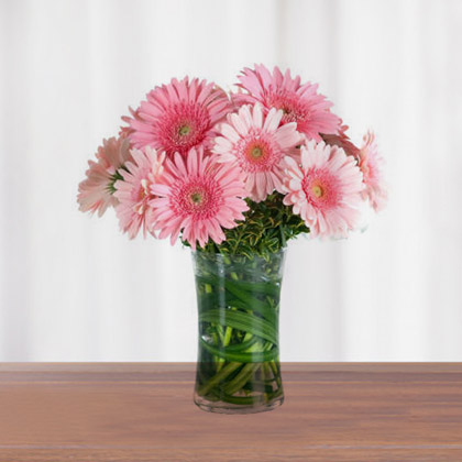 12 Pcs Pink Gerbera In Vase-image-0