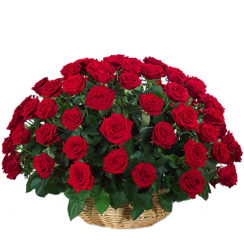 50 Pure Red Roses In A Basket-image-0