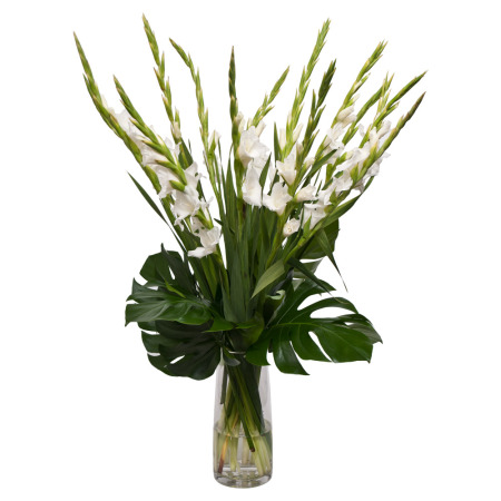 10 Pcs White Gladiolus In Vase-image-0