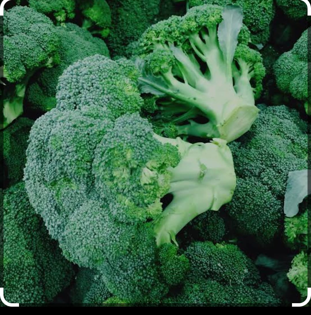 Broccoli-image-0