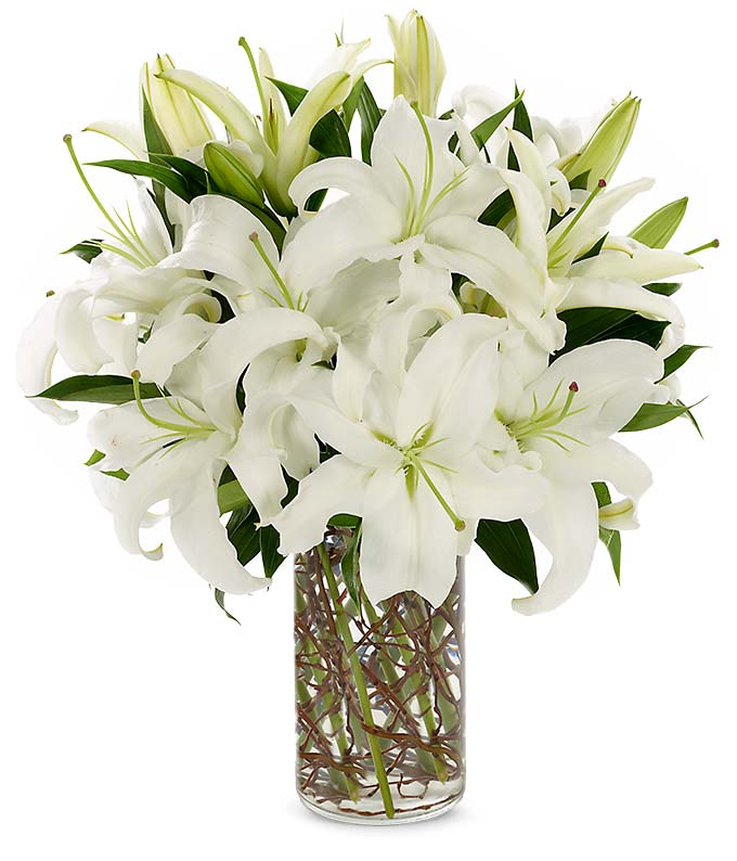 12 Pcs White Lily's In Vase-image-0