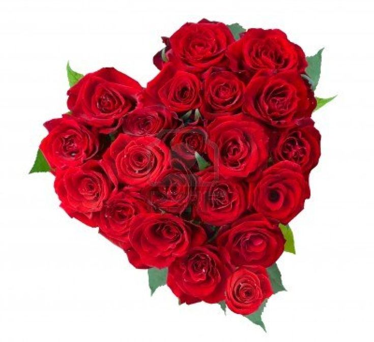 20 Pcs Red Roses In Heart Shape-image-0