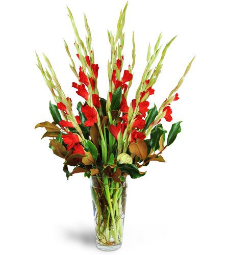 12 Pcs Red Gladiolus In Bouquet-image-0