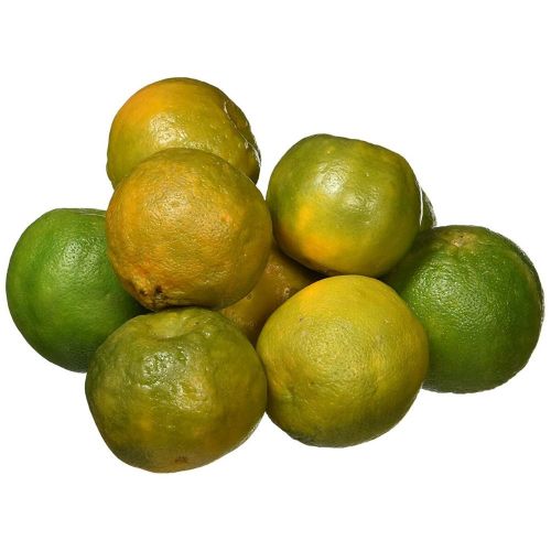 Orange-Komola--image-0