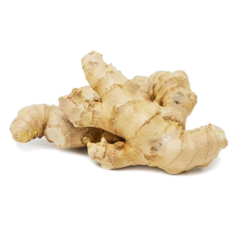 Ada-Ginger (Zum Chas) pahari-image-0