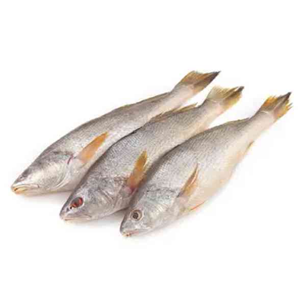 Powa Fish-image-0