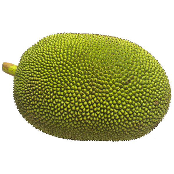 Jackfruit Ripe-image-0