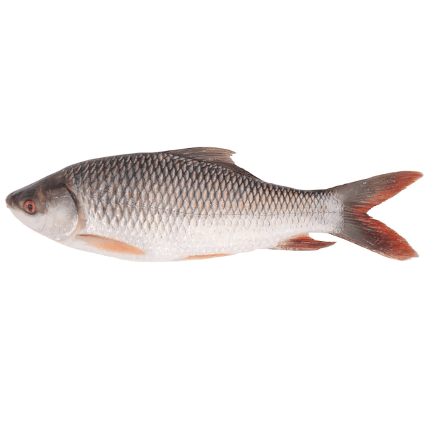 Rui Fish (9KG) 600GM per kg 1200tk-image-0