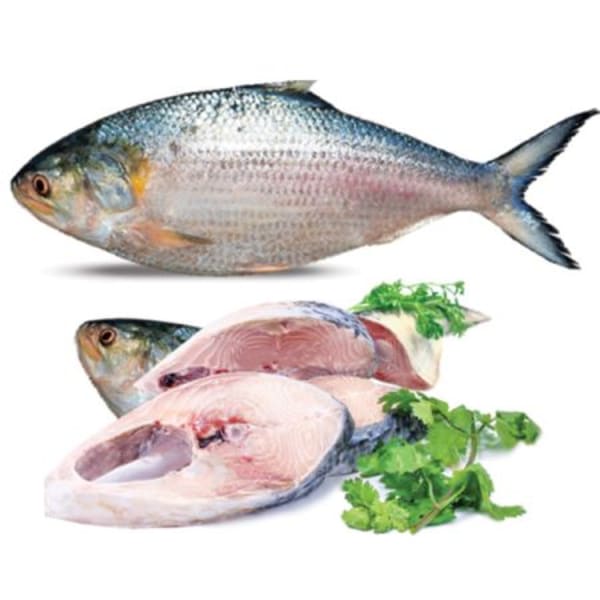 Hilsha Fish chandpur 600gm-image-0