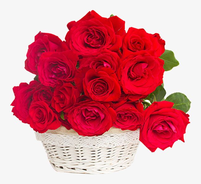 15 Pcs Red Roses In Basket-image-0
